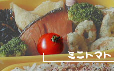 ミニトマト ミニトマト画像